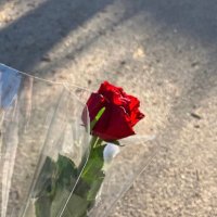 🦋 (@roro20_0) 's Twitter Profile