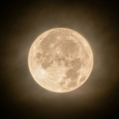 LitaniaAT's profile picture. 