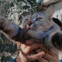 Mingkmol Phuiphan (@mikmp23440) 's Twitter Profile