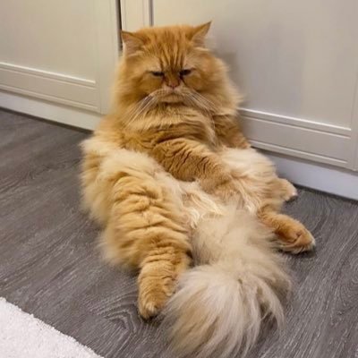 dewichani's profile picture. run away from instagram’s feed