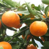 ナンカン20 (@freshheets8) 's Twitter Profile Photo