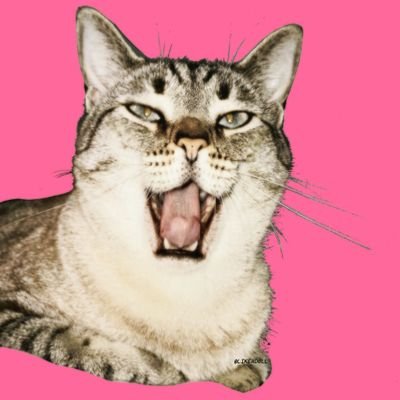 SKELET1CA's profile picture. shedtwt

bmi 14.8 & maintaining