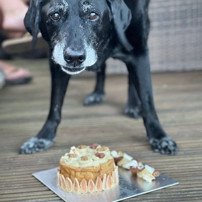 markcallow10's profile picture. Racing,football,squash, padel and dogs