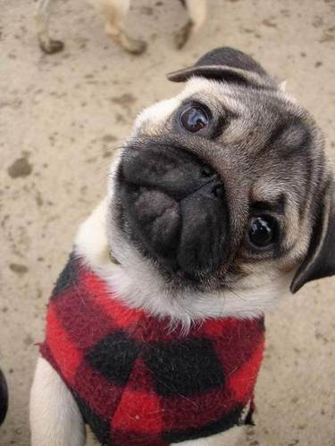 KhemBcc's profile picture. 