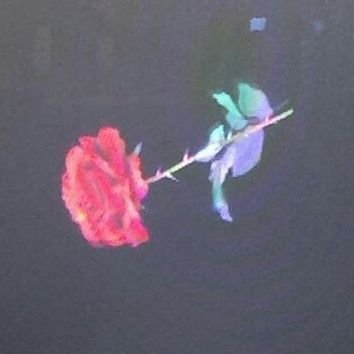 miquto's profile picture. 