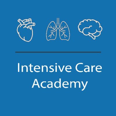 Intensive Care Academy Profile