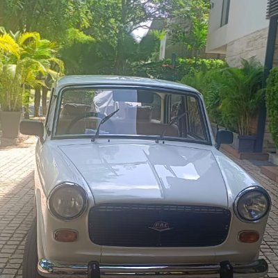 ali8901234's profile picture. Honesty