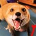 Me :) (@buddy_boy0) Twitter profile photo Me :) (@buddy_boy0) Twitter profile photo
