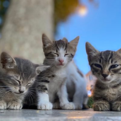 bakmadeli's profile picture. 