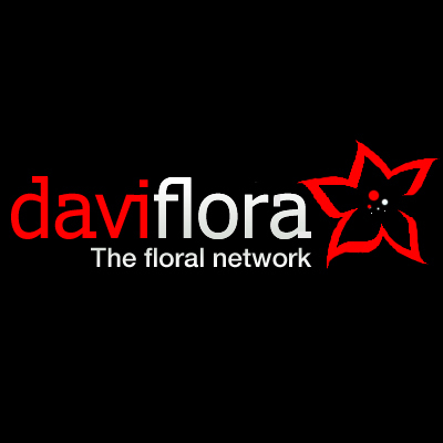 Daviflora's profile picture. daviflora has specialized in International flower delivery and gift delivery. We provide flower and gifts delivery to almost all countries in the word