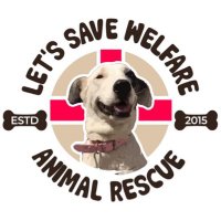 Let's Save Welfare (@lets_save_wo) 's Twitter Profile Photo Let's Save Welfare (@lets_save_wo) 's Twitter Profile Photo