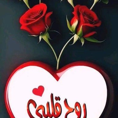 adamnajim13's profile picture. 