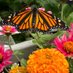 Helen Ayers (@helenonwheels52) Twitter profile photo Helen Ayers (@helenonwheels52) Twitter profile photo