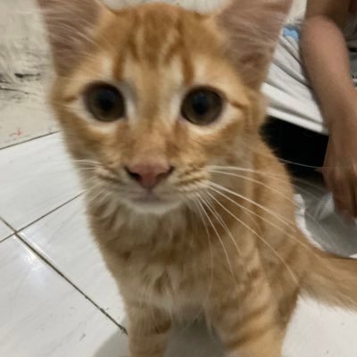 baru ni yeee