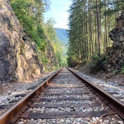 aristono1986's profile picture. 