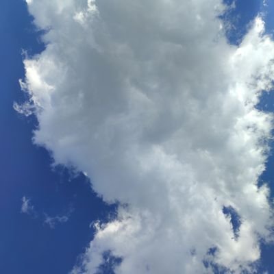 HooAnthony82924's profile picture. 