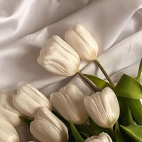 - عَبير . (@uldn_) 's Twitter Profile