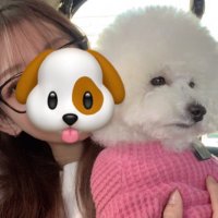 まじで真面目 (@king_your0) 's Twitter Profile