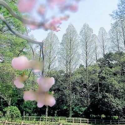theasdutsu55's profile picture. 50代でASD診断　気分変調症
苦手な事(数える→編み物の目数は間違える、音読、他者視点)、モラハラ夫と死別、毒親育ち、アレルギー疾患