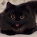 Oscar (@oscar0093726088) Twitter profile photo Oscar (@oscar0093726088) Twitter profile photo