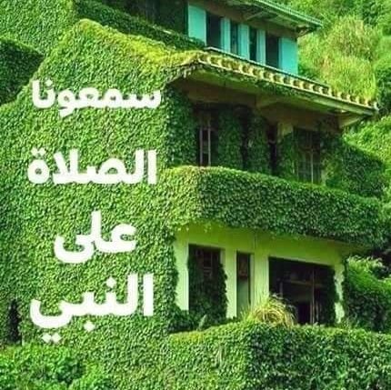 AlAldyn65378's profile picture. 