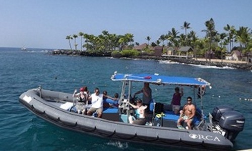 cjBryant1's profile picture. Boat Snorkel and Dolphin Encountering Adventure not to be missed in Kona.