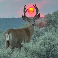 SunSpreader (@sunspreader_) 's Twitter Profile Photo SunSpreader (@sunspreader_) 's Twitter Profile Photo