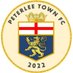 Peterlee Town FC (@peterleefc2022) Twitter profile photo