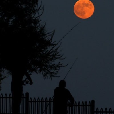 AlexLiu93977393's profile picture. 