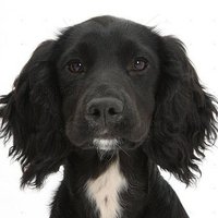 Jabe (@jabesallowed) 's Twitter Profile