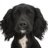 Profile picture of Jabe