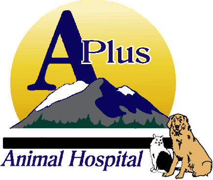 A Plus Animal Hospital is the largest full service Animal Hospital in northern Nevada.