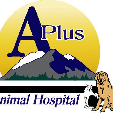 Pet plus animal hospital sales
