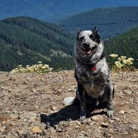 Matthew Lee Bates (@batesmatthewlee) 's Twitter Profile