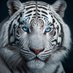 TigerOutaCage (@realpatfan) Twitter profile photo TigerOutaCage (@realpatfan) Twitter profile photo