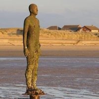Wrong_Kennedy_2 (@wrong_kenned2) 's Twitter Profile