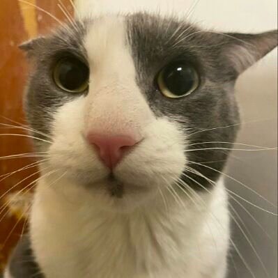 Pale_Sands's profile picture. 