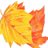 WoldEcology's profile image