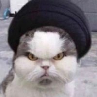 مبيد المجوس (@zahrany10932) 's Twitter Profile Photo