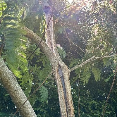 rfs7175's profile picture. Hacked, like two years ago on this forgotten account and trying to delete it. 
8/28/2024