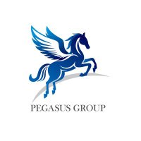 ペガサスコンサルティンググループ (@pegasus_cg) 's Twitter Profile