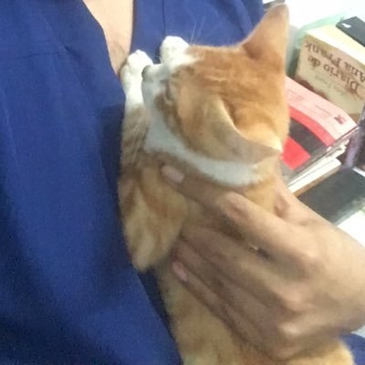 HigoBrian's profile picture. médico residente en cirugía pediatrica