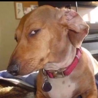 Fiery163's profile picture. 19🇲🇽