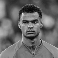 feyrust (@feyrust) 's Twitter Profile