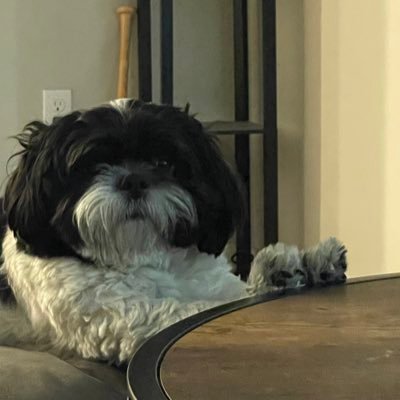 golfaddict94's profile picture. 