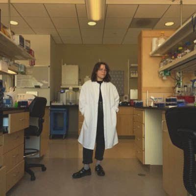 dendriticspines's profile picture. 