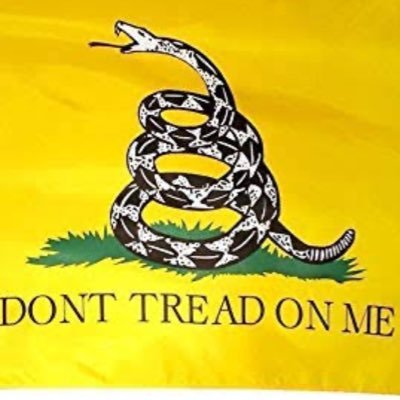 🇧🇷🇺🇦🇮🇱🐍 Libertário e defensor da liberdade econômica e individual. Análises diretas sobre política, economia e conflitos globais.