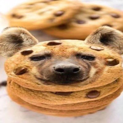 fruitfag's profile picture. 22 Sus