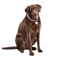 GraceHomeFurnishings (@gracehomela) 's Twitter Profile Photo GraceHomeFurnishings (@gracehomela) 's Twitter Profile Photo