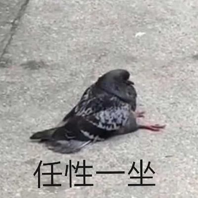鸦404さんのプロフィール画像